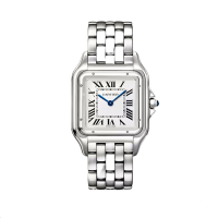 Cartier Panthere Medium Size WSPN0015 Steel - Brand New 2026